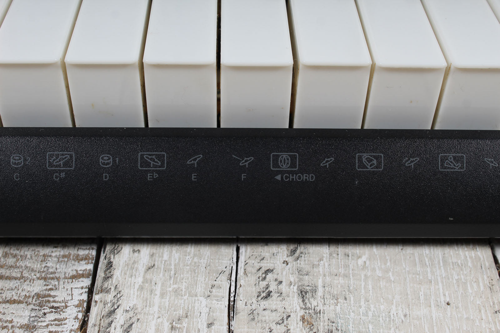 Casio LK-175 Keyboard 61 Key Portable Keyboard with Power Supply and Gig Bag