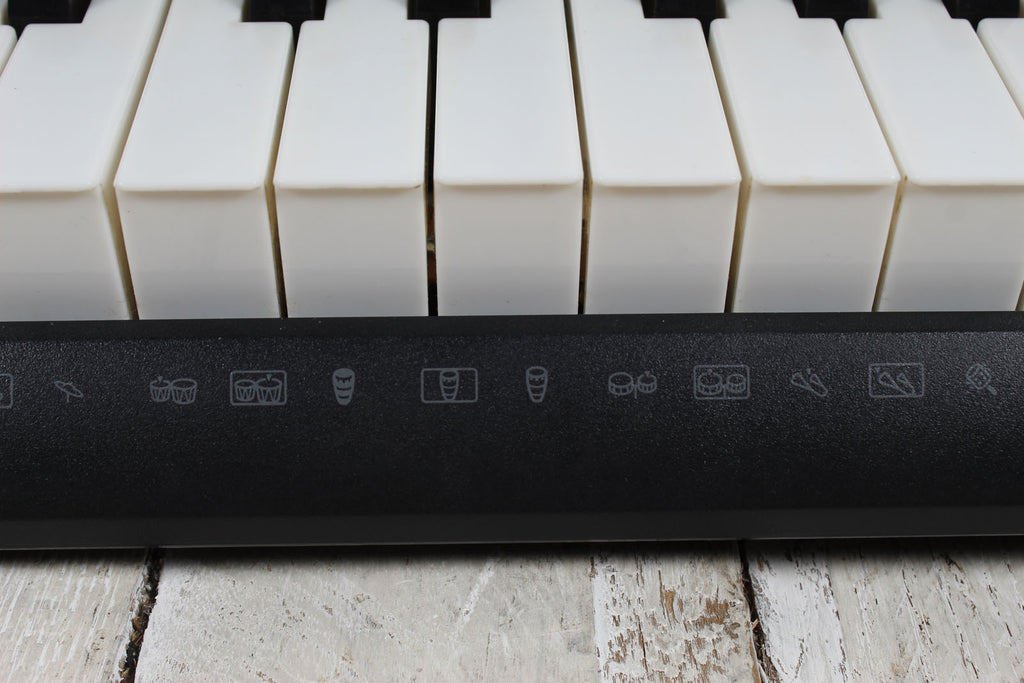Casio LK-175 Keyboard 61 Key Portable Keyboard with Power Supply and Gig Bag