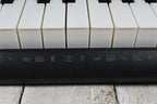 Casio LK-175 Keyboard 61 Key Portable Keyboard with Power Supply and Gig Bag