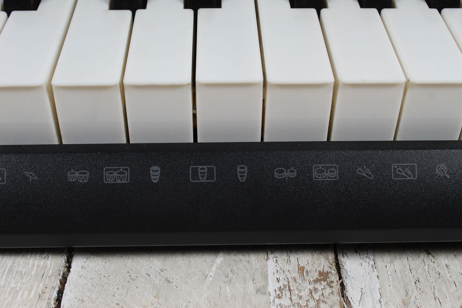 Casio LK-175 Keyboard 61 Key Portable Keyboard with Power Supply and Gig Bag