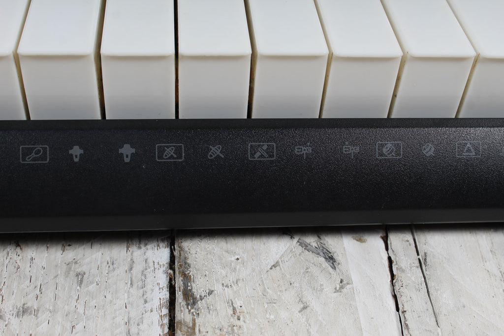 Casio LK-175 Keyboard 61 Key Portable Keyboard with Power Supply and Gig Bag