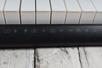 Casio LK-175 Keyboard 61 Key Portable Keyboard with Power Supply and Gig Bag