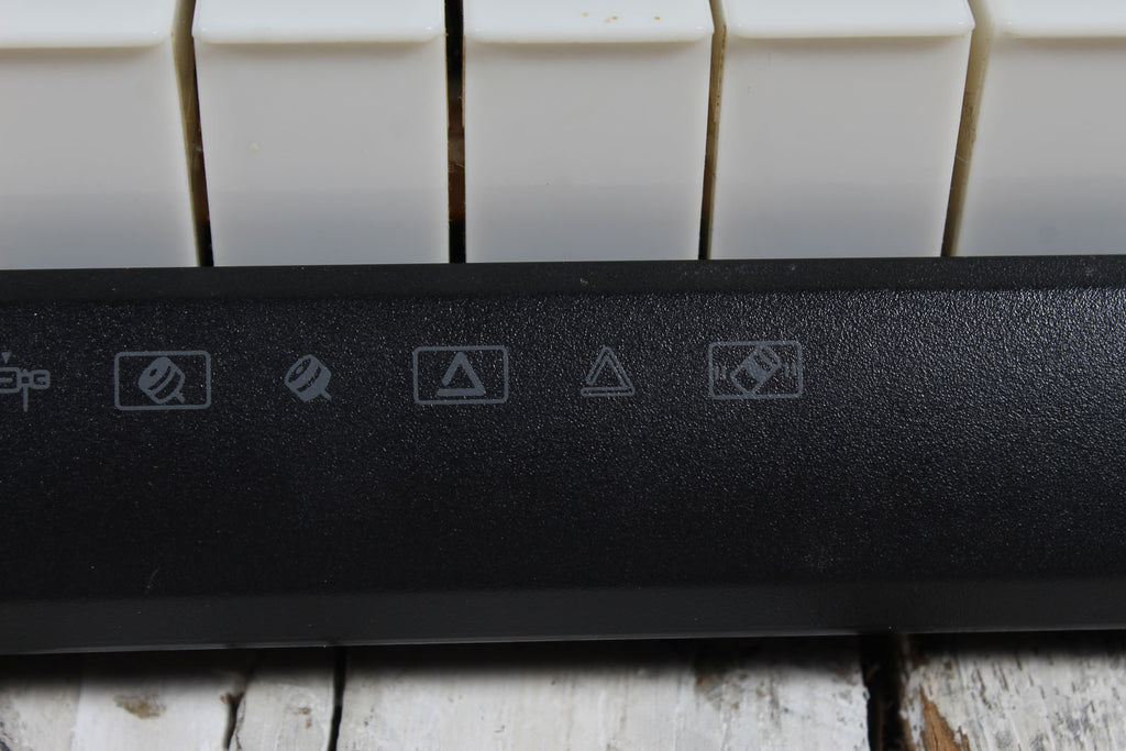 Casio LK-175 Keyboard 61 Key Portable Keyboard with Power Supply and Gig Bag