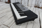 Casio LK-175 Keyboard 61 Key Portable Keyboard with Power Supply and Gig Bag