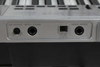 Casio LK-175 Keyboard 61 Key Portable Keyboard with Power Supply and Gig Bag