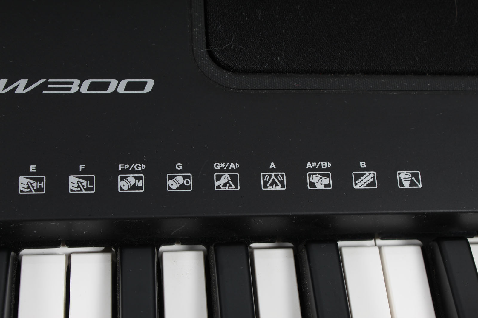 Yamaha PSR-EW310 Keyboard 76 Key Touch Sensitive Keyboard with Power Supply