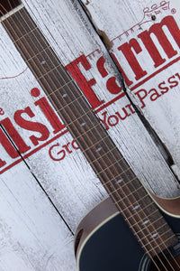 Ibanez AE Series AE100 Acoustic Electric Guitar Dark Tide Blue Flat Finish