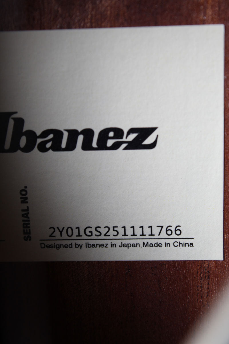 Ibanez Altstar ALT50FA Acoustic Electric Guitar Flame Maple Art Blue Doom Burst