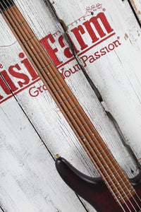 Ibanez SR305EDX 5 String Electric Bass Guitar Wine Red Frozen Matte Finish