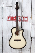 Load image into Gallery viewer, Ibanez AAM370M1CE Acoustic Electric Guitar Transparent Panda High Gloss Finish