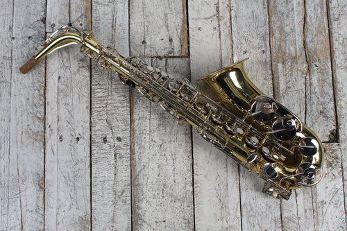 Selmer AS300 Alto Saxophone Student Sax with Hardshell Case