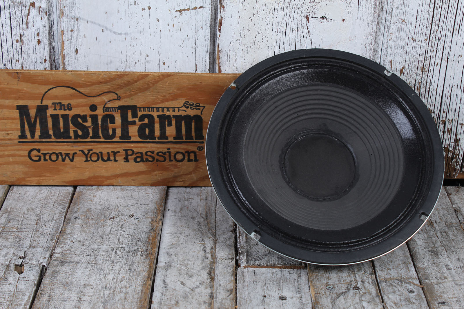 Celestion / Line 6 Custom Design G12E-50 Guitar Amplifier Replacement Speaker