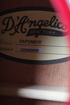 D'Angelico Premier Grateful Dead Tammany Acoustic Electric Guitar with Gig Bag