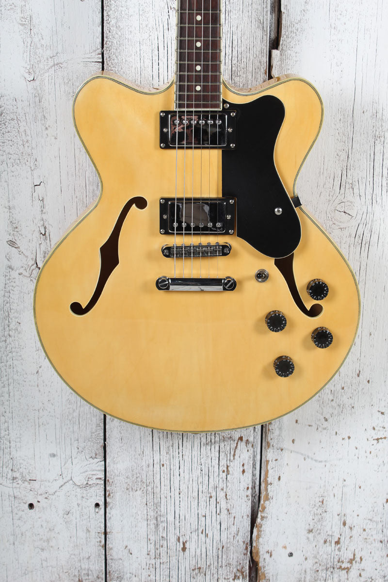 Giannini GSH-202 Double Cutaway Arch Top Semi Hollow Body Electric Guitar
