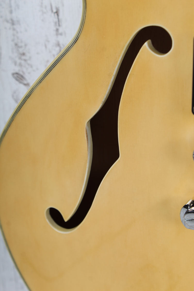 Giannini GSH-202 Double Cutaway Arch Top Semi Hollow Body Electric Guitar