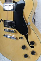 Giannini GSH-202 Double Cutaway Arch Top Semi Hollow Body Electric Guitar