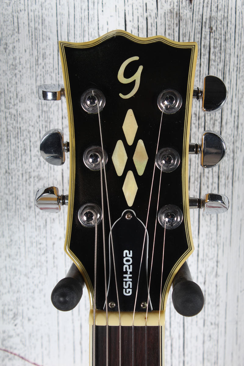Giannini GSH-202 Double Cutaway Arch Top Semi Hollow Body Electric Guitar
