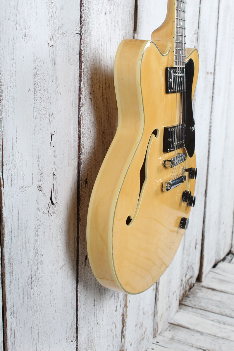 Giannini GSH-202 Double Cutaway Arch Top Semi Hollow Body Electric Guitar