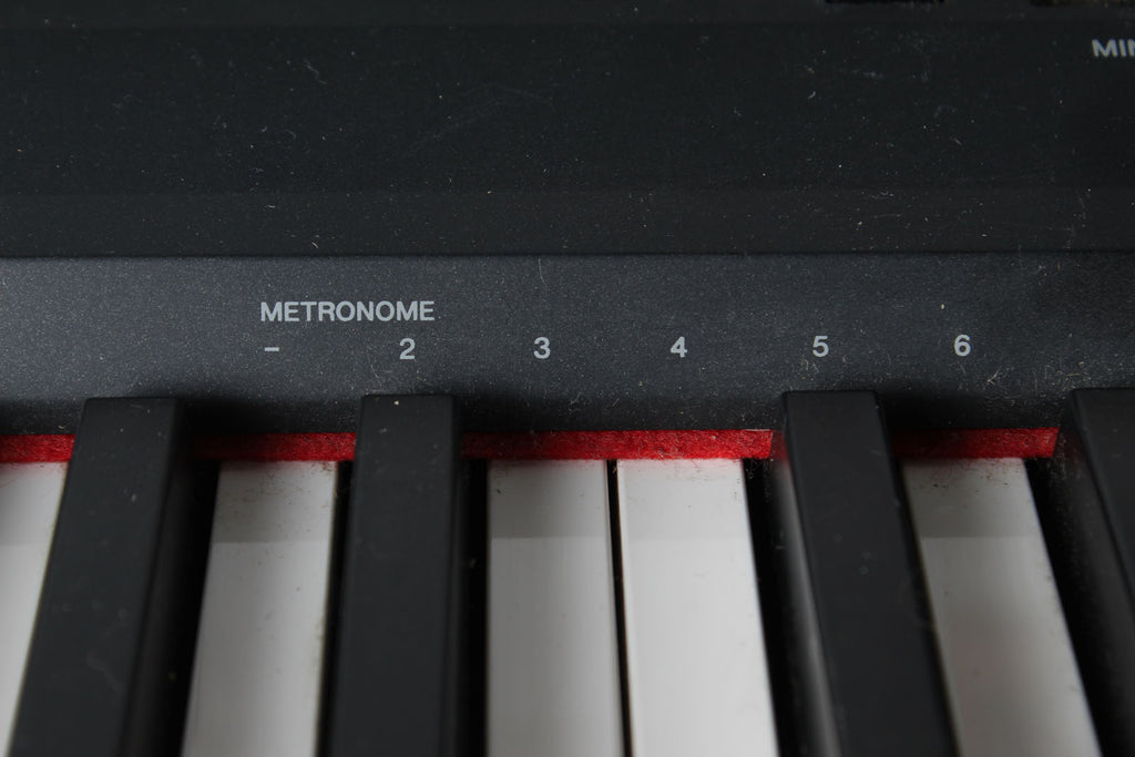 Yamaha P115B 88 Weighted Key Digital Piano with Stand and Power Supply