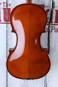 Stagg VN4/4-SB Violin 4/4 Solid Maple Violin Sunburst Finish with Soft Case