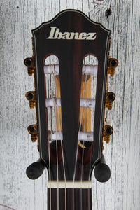 Ibanez FRH10N Thinline Nylon Acoustic Electric Guitar Indigo Blue Metallic