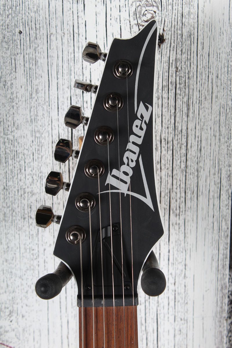 Ibanez RG Standard RG421 Solid Body Electric Guitar Sea Shore Matte Finish