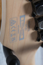 Load image into Gallery viewer, Ibanez RG Standard RG421 Solid Body Electric Guitar Sea Shore Matte Finish