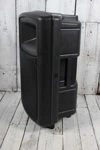 SHS Audio S-212 Speaker Cabinet