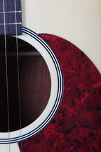 Gold Tone TG-10 Tenor Acoustic Guitar 4 String Tenor Acoustic Guitar w Gig Bag
