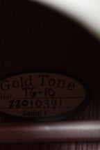 Gold Tone TG-10 Tenor Acoustic Guitar 4 String Tenor Acoustic Guitar w Gig Bag