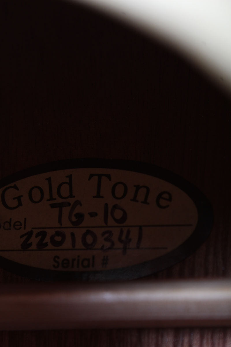 Gold Tone TG-10 Tenor Acoustic Guitar 4 String Tenor Acoustic Guitar w Gig Bag