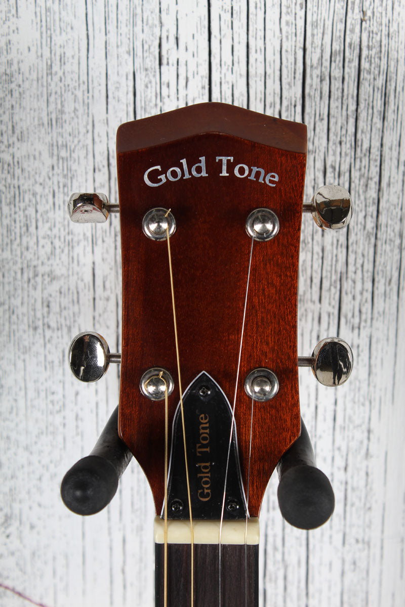Gold Tone TG-10 Tenor Acoustic Guitar 4 String Tenor Acoustic Guitar w Gig Bag