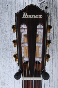 Ibanez FRH10N Thinline Nylon Acoustic Electric Guitar Indigo Blue Metallic