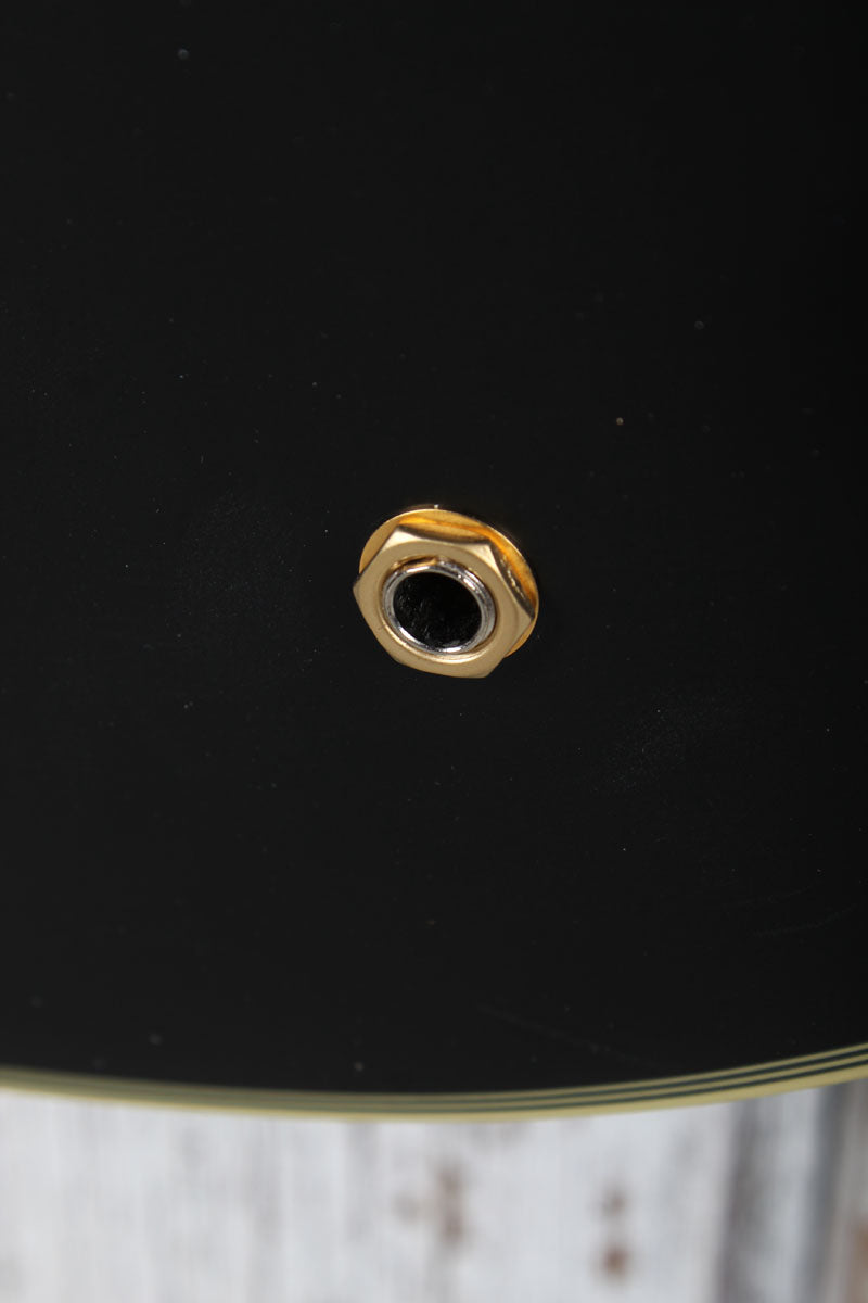 Epiphone Emily Wolfe Sheraton Stealth Electric Guitar with EpiLite Case