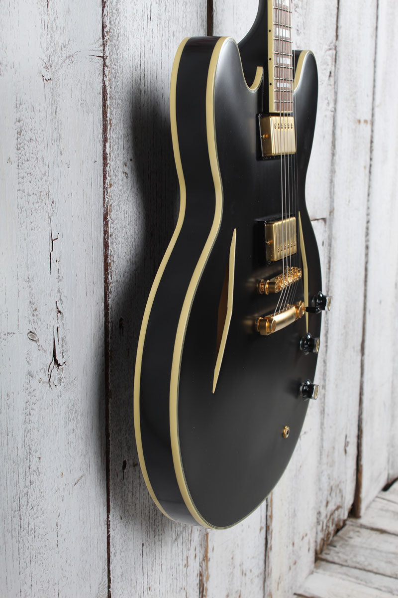 Epiphone Emily Wolfe Sheraton Stealth Electric Guitar with EpiLite Case