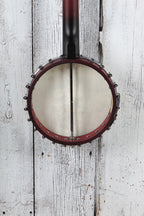 Washburn Americana Series B6 Six String Open Back Banjo with Remo Head