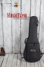 Martin D Jr-E Dreadnought Junior Acoustic Electric Guitar Natural with Gig Bag