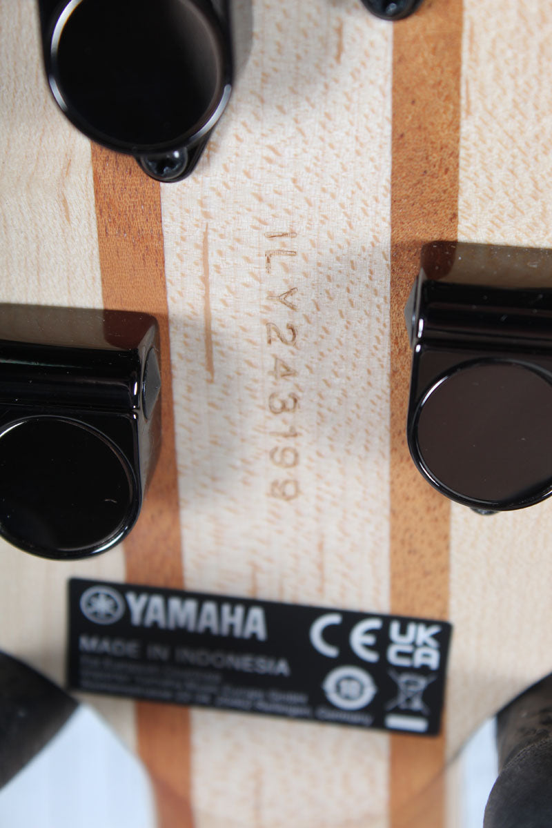 Yamaha TRBX304 4 String Electric Bass Guitar Active Electronics Mist Green