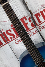 Load image into Gallery viewer, Jay Turser Jay Jr 3/4 Size Dreadnought Acoustic Guitar Flame Top Blue Sunburst