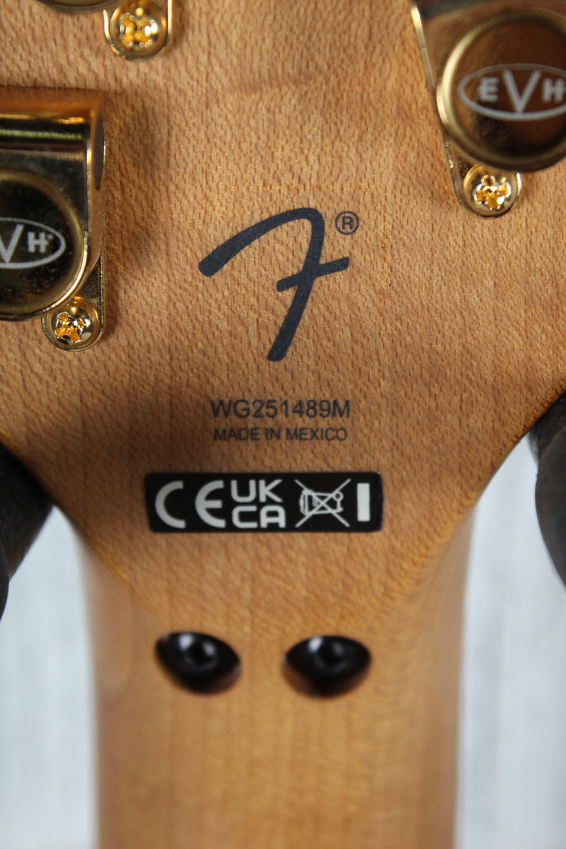 EVH Wolfgang Special QM Electric Guitar Floyd Rose with D-Tuna Purple Burst