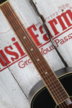 Gretsch Jim Dandy Concert Acoustic Guitar Rex Burst Finish