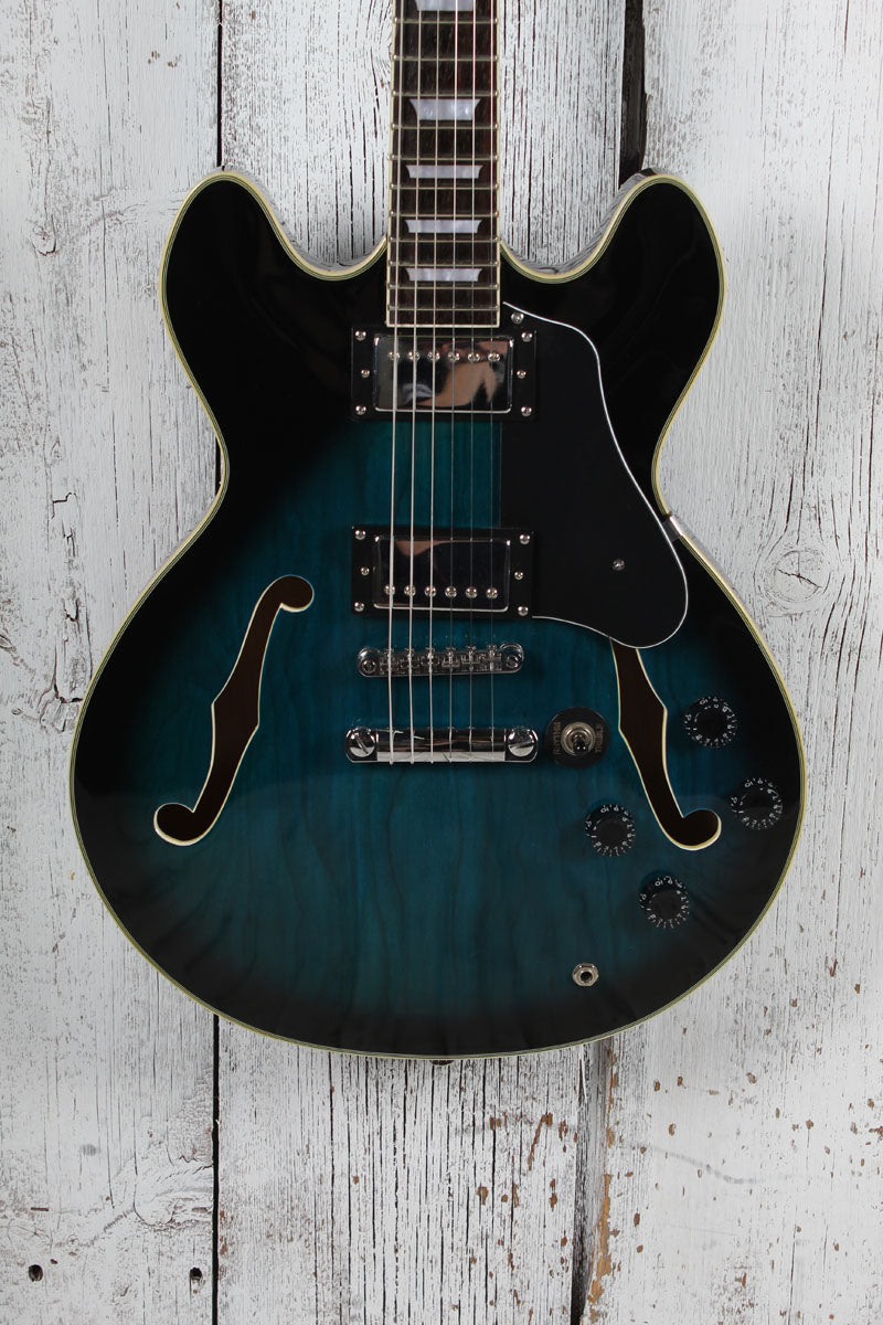 Firefly JSN 335 Style  Semi Hollow Body Electric Guitar with Gig Bag