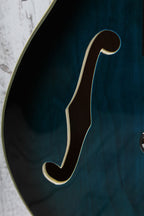 Firefly JSN 335 Style  Semi Hollow Body Electric Guitar with Gig Bag