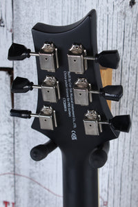 PRS SE P20E Parlor Acoustic Electric Guitar Doghair Finish with Gig Bag