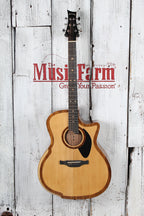Riversong The River Pacific P2P-GA Acoustic Electric Guitar Natural with Gig Bag