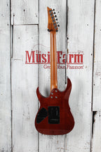 Ibanez RG Series GIO GRG220PA1 Electric Guitar Transparent Brown Black Burst