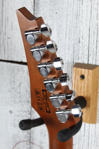 Ibanez RG Series GIO GRG220PA1 Electric Guitar Transparent Brown Black Burst