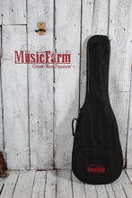 Load image into Gallery viewer, Ibanez SR300E 4 String Electric Bass Guitar Charred Champagne Burst with Gig Bag