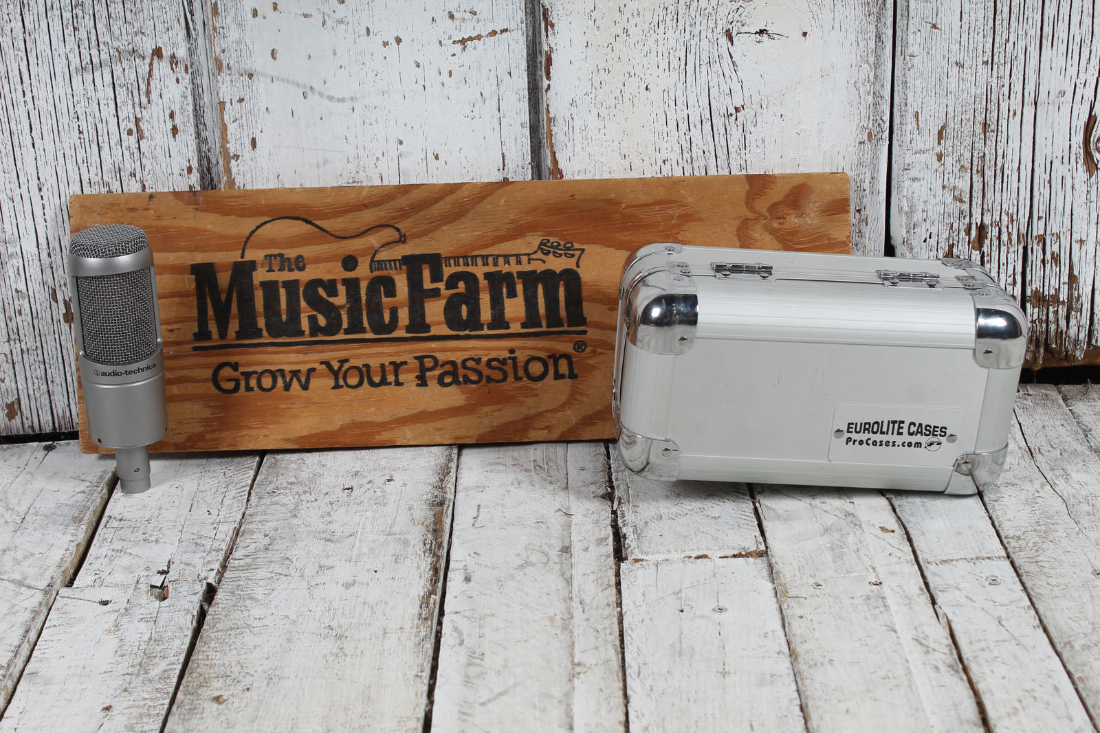 Audio-Technica AT3035 Large Diaphragm Cardioid Condenser Microphone with Case