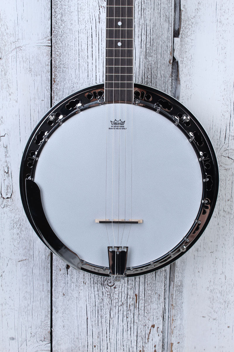 Washburn B11 Americana 5 String Resonator Back Banjo Natural with Hardshell Case